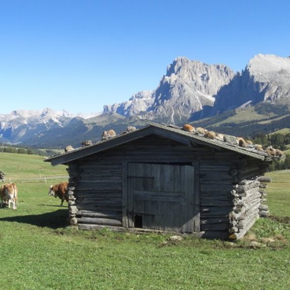 Hofer Alpl-Schlernhaus-Tierser Alpl-Mahlknechthütte (Seiser Alm)